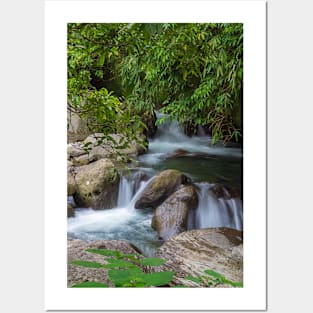 Small waterfall in a forest Posters and Art